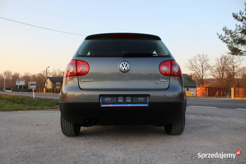 Volkswagen Golf 4 Motion 4x4 Oryginał Bez rdzy! Dąbrowa