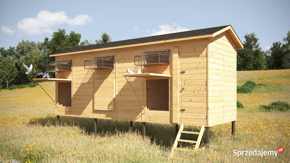 GOŁĘBNIK WOLNOSTOJĄCY 300x800 20mm SOLIDNA wielkopolskie Poznań sprzedam