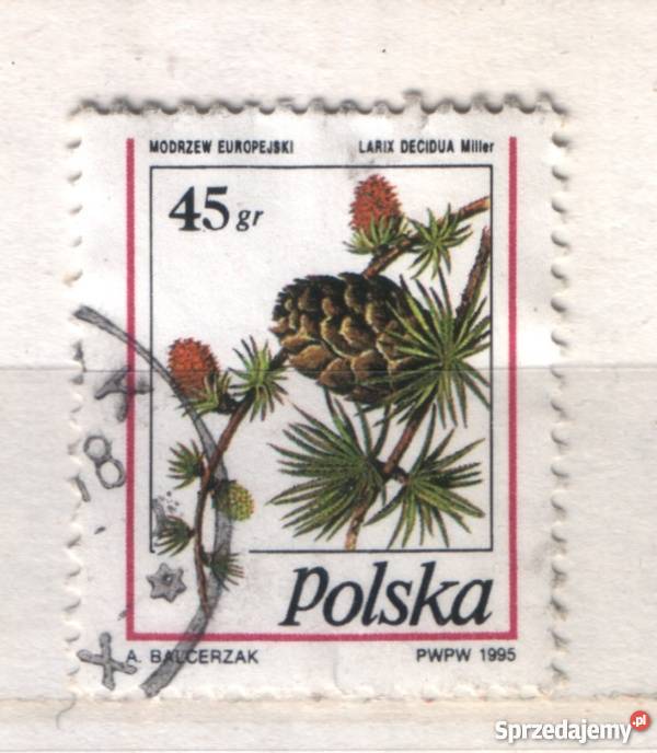 Zn Wykaz kas 1995 Gliwice sprzedam