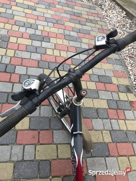 Rower Luna Rayon Wilczyn