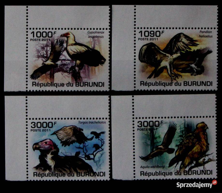 Burundi 20142017 4 jpg wielkopolskie Oborniki