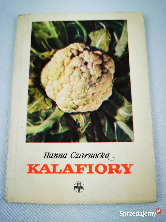 Kalafiory - Hanna Czarnocka