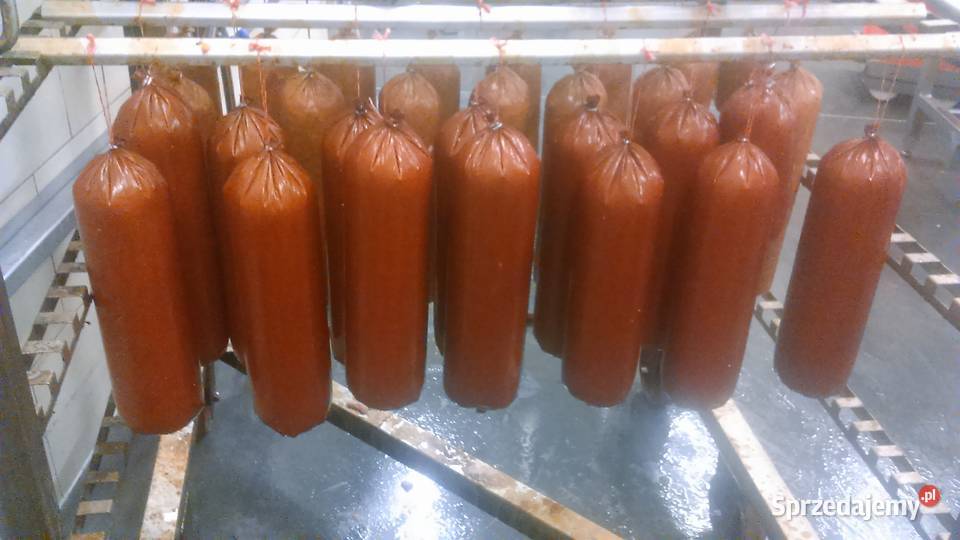 Klipsownica stołowa dwurzędowa fabrycznie nowa Produkcja Żukowo