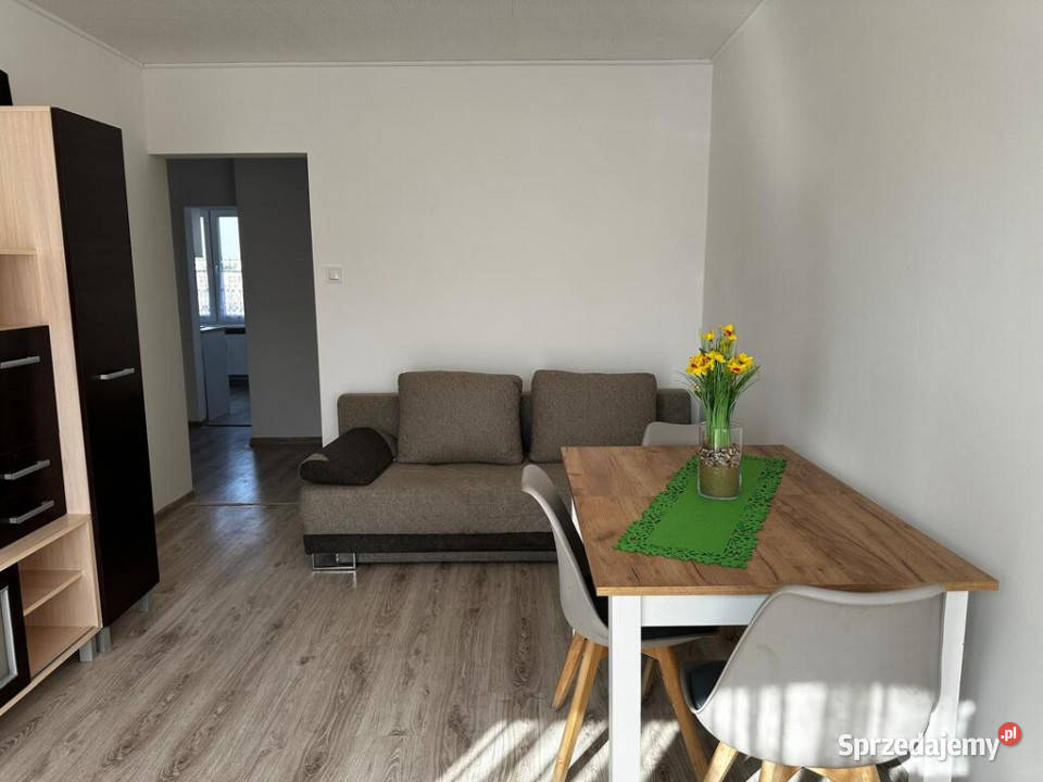 Na sprzedaż 3 pokoje remoncie 4815 m2 łódzkie Piotrków Trybunalski