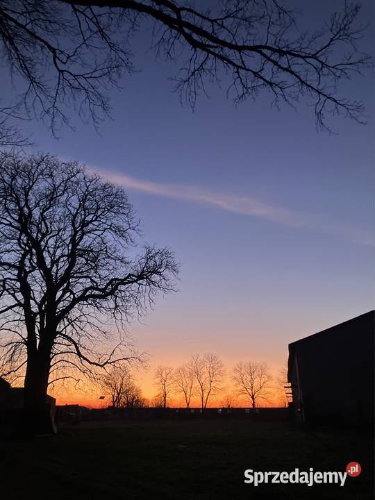 Sprzedam odrestaurowany dwór XIX w z folwarkiem do zamieszkania Łagiewniki Wielkie