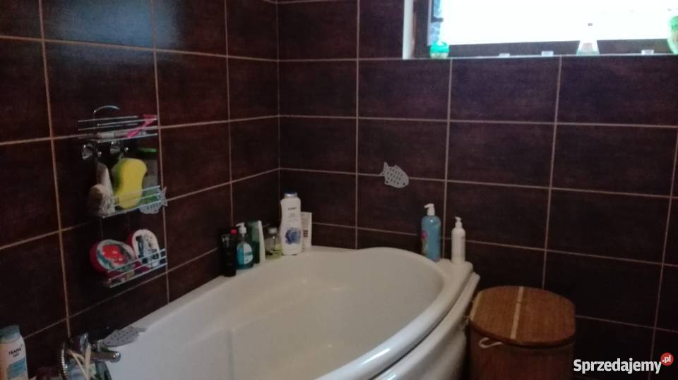 Bezpośrednio dom leśniczówka rzeczką kujawsko-pomorskie Jarki