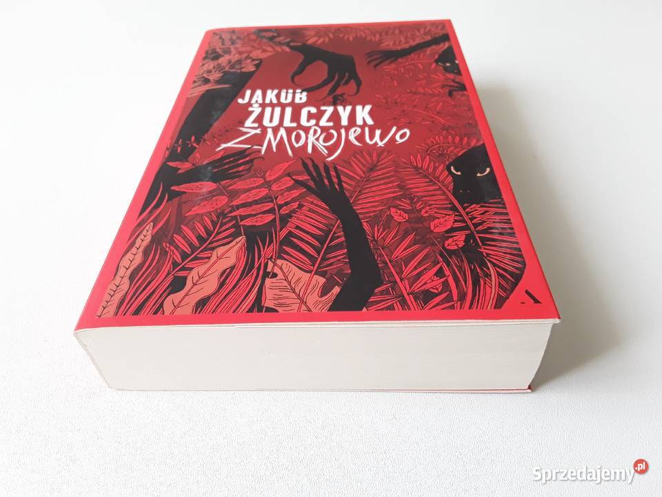 ZMOROJEWO ŚWIĄTYNIA 2x Jakub Żulczyk miękka Proza i poezja Gorzów Wielkopolski