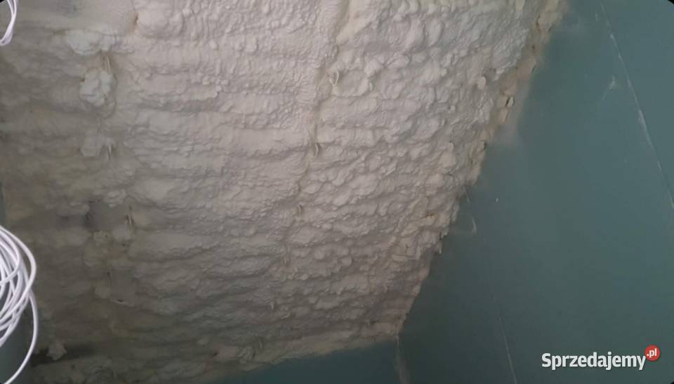 Thermoclad Ocieplanie pianką PUR wdmuchiwanie Katowice
