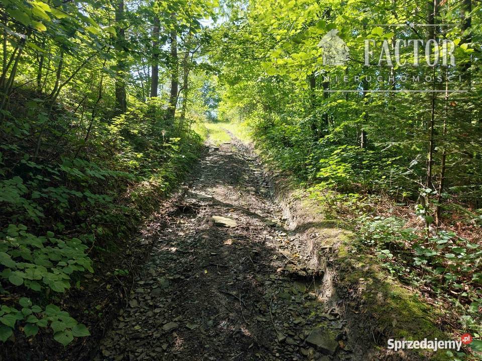 Kąclowa działka siedliskowa 06 ha 1103S2023 małopolskie