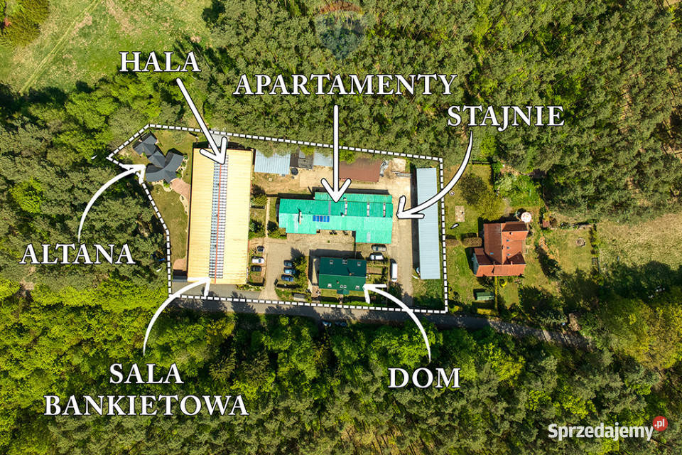 Doskonała okazja koniarzy i nie Zielona Góra