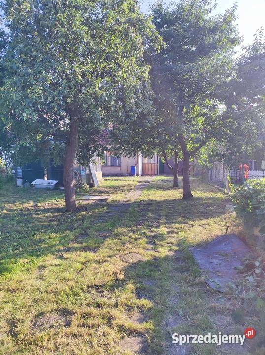 Sprzedam działkę ROD Kąpiele słoneczne Grudziądz