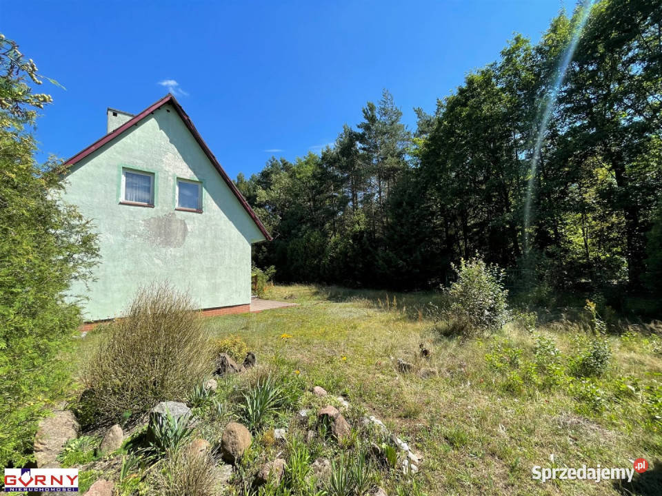 sprzedaży domu wolnostojącego Łęg Ręczyński 625m2