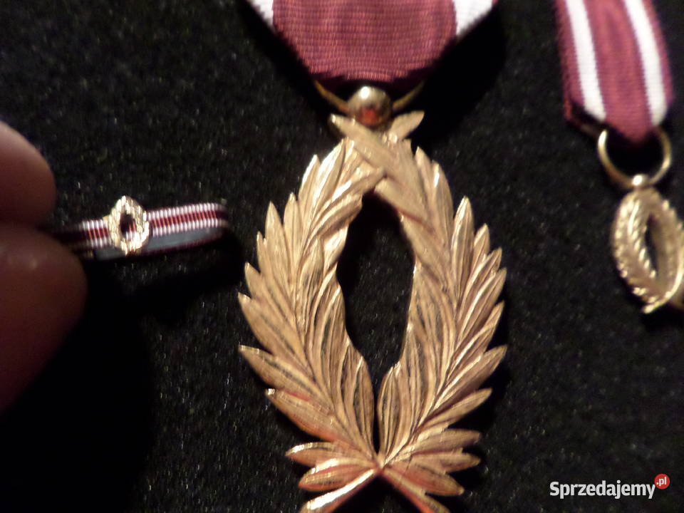 Palmy Orderu Korony zestaw Belgia Militaria Poznań