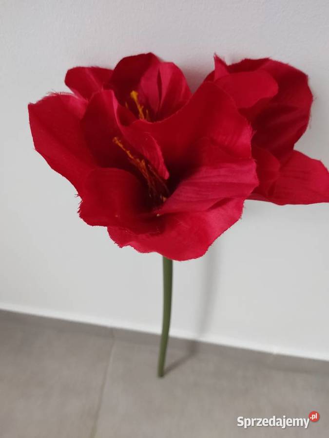 AMARYLIS CZERWONY DUZY KWIAT SZTUCZNY Ropczyce sprzedam
