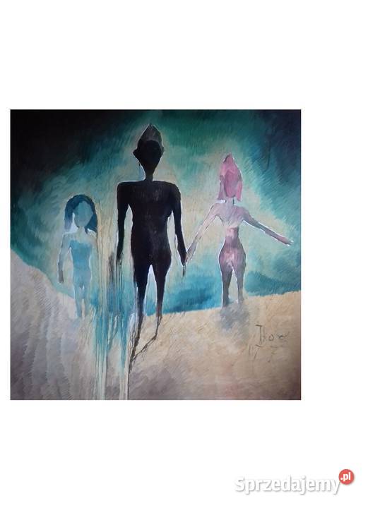 Trójka Rozmywająca Się podkarpackie sprzedam