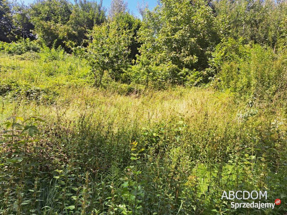 Nielepicedzialka budowlana w otoczeniu zieleni