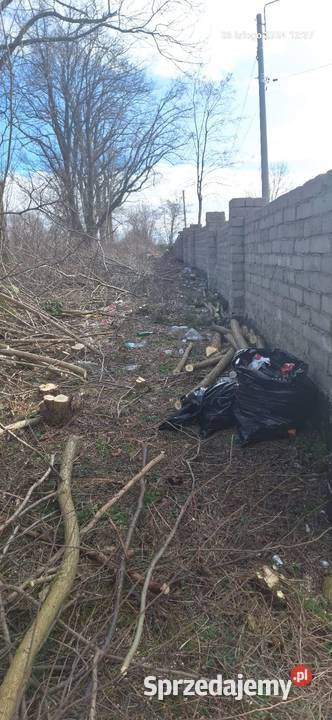 Wycinka drzew krzewówcięcie tui kompleksowe Częstochowa