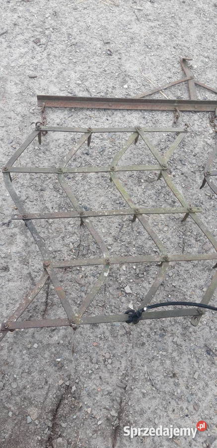 Brony konne stan nieuszkodzony Sarzyna