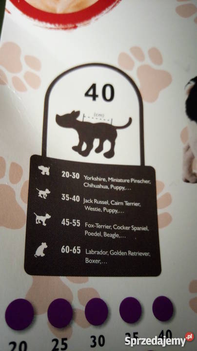 kurtka psa pikowana ciepła rozmiar 40 Pozostałe Błaszki