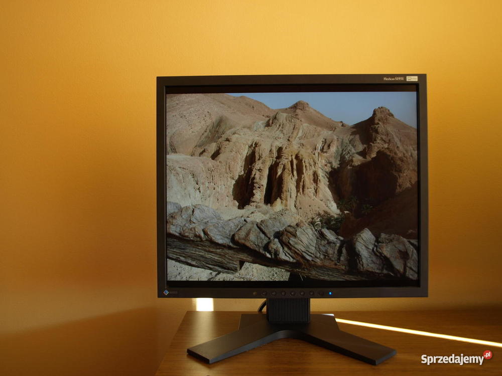 EIZO S1931 SPVALED 6mc Wrocław sprzedam
