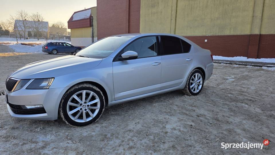 Skoda Octavia 2017 silnik 20 diesel polski salon 4/5 warmińsko-mazurskie