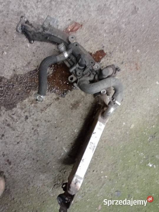 Mercedes a612142027 CDI ml podgrzewacz paliwa Kolektory ssące Czernikówko