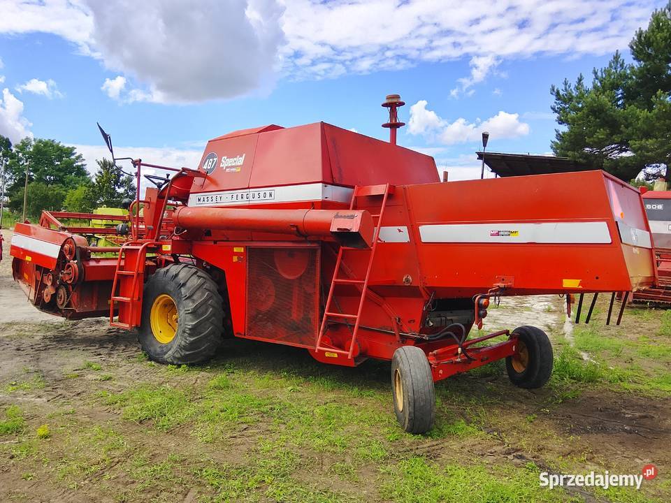 Kombajn Massey Ferguson 487 Specjal sieczkarnia nieuszkodzony mazowieckie Zwoleń sprzedam