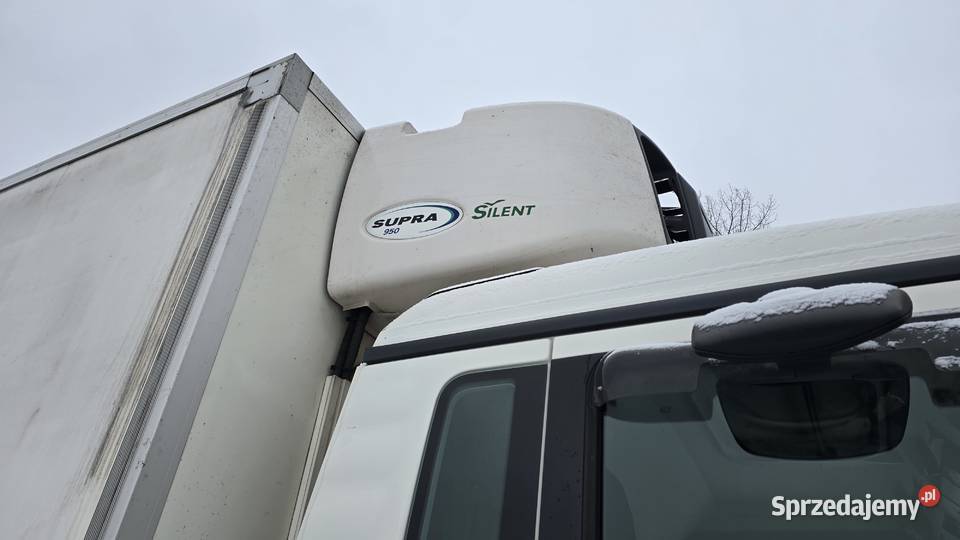 MAN TGS 18400 4x2 CHJŁODNIA IZOTERMA CARRIER opolskie Nowy Świętów