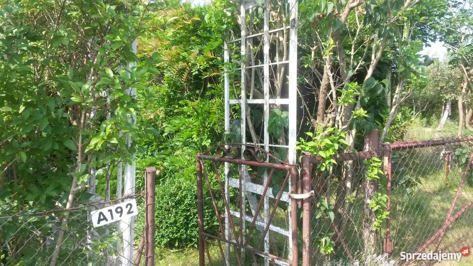 Dwie dzialki ogrodnicze z domkiem