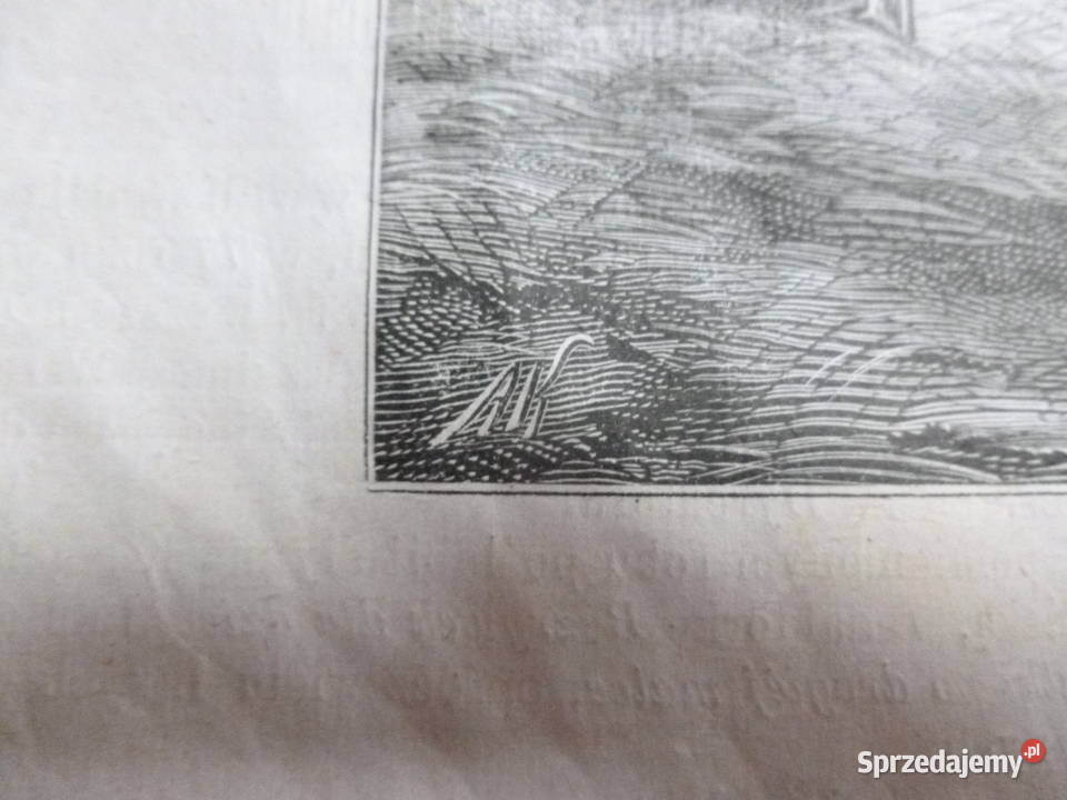 A Kowalski Drzeworyt sztorcowy Kłosy 1875 r mazowieckie Mława