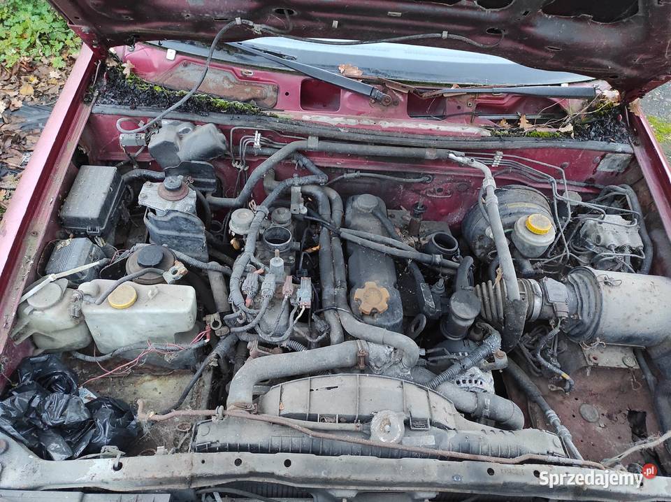 Nissan Terrano Ford Maverick na części w całości Opole