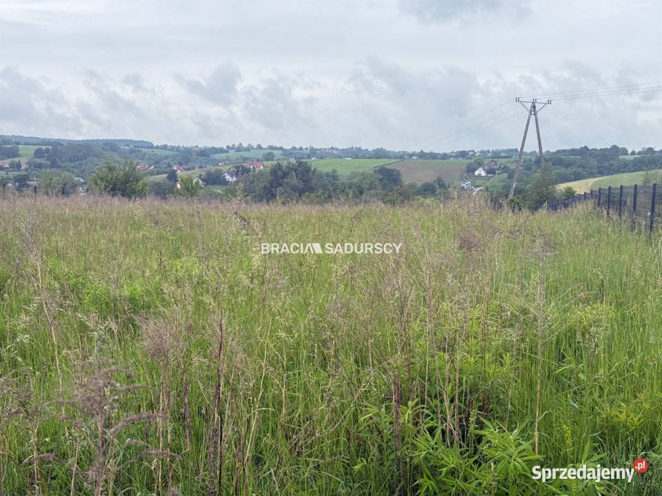 Sprzedam grunt 3310m2 Wilczkowice małopolskie