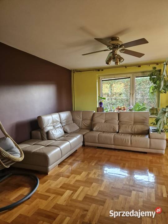 Kanapa rogówka ze skóry stan idealny śląskie