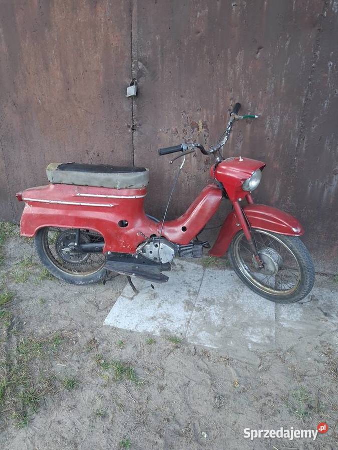 Jawka pancerka 50 mat Sułkowice