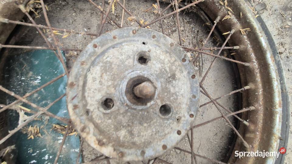 Piasta wsk Hryniewicze