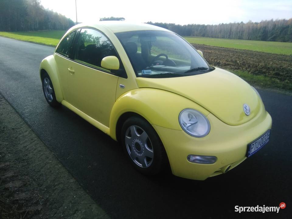 VW Beetle 19 Sieradz
