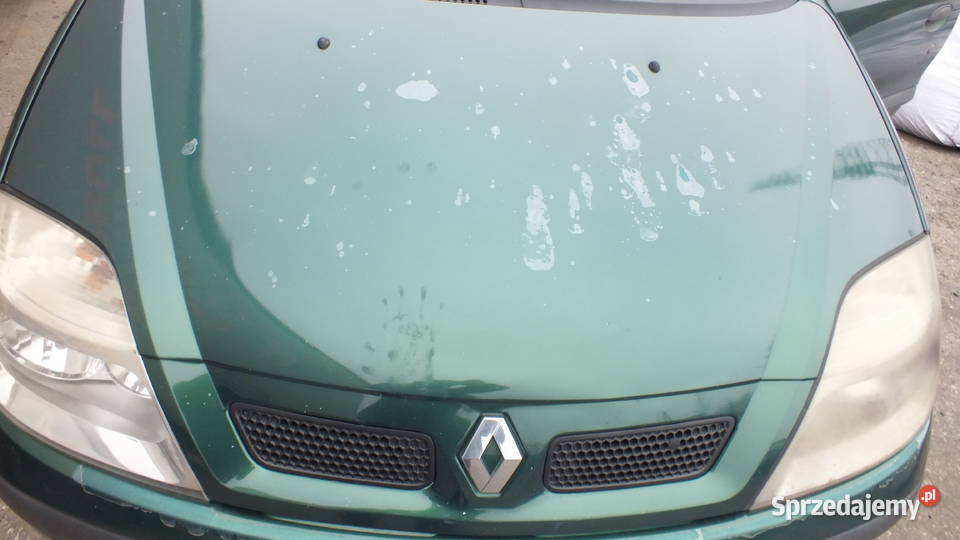 Renault Scenic 1 fl silnik 19dci na części