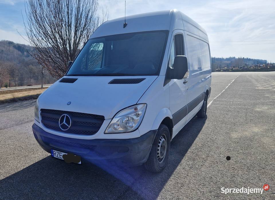 Mercedes Sprinter Straszydle
