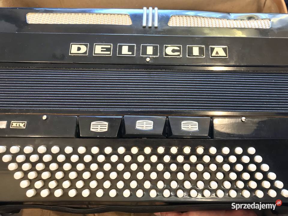 DELICIA Choral XIV AKORDEON 120 basów WALIZKA Warszawa