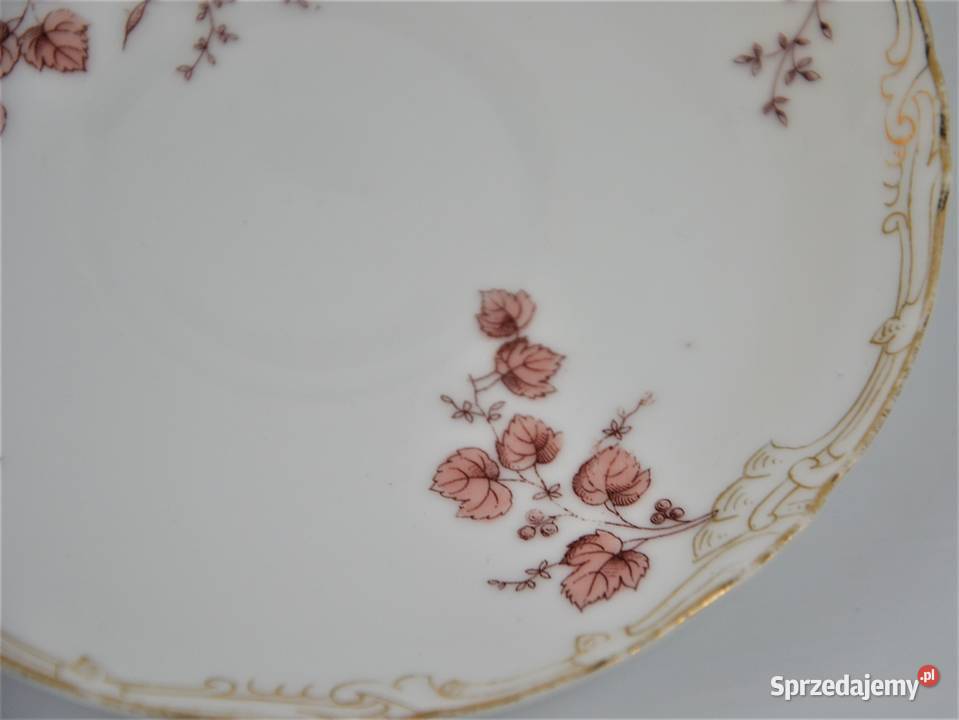 Zestaw śniadaniowy secesyjne motywy poczXXw Porcelana i szkło Warszawa sprzedam