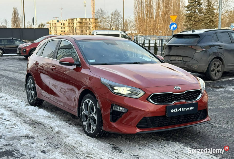 Kia Nowy Ceed 14 TGDI 140 Business Line Toruń