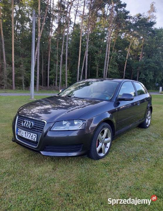 Audi a3 8p 2010r nieuszkodzony A3 świętokrzyskie