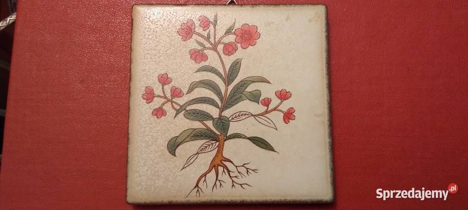 Kafelki ceramiczne dekoracyjne Sejny sprzedam