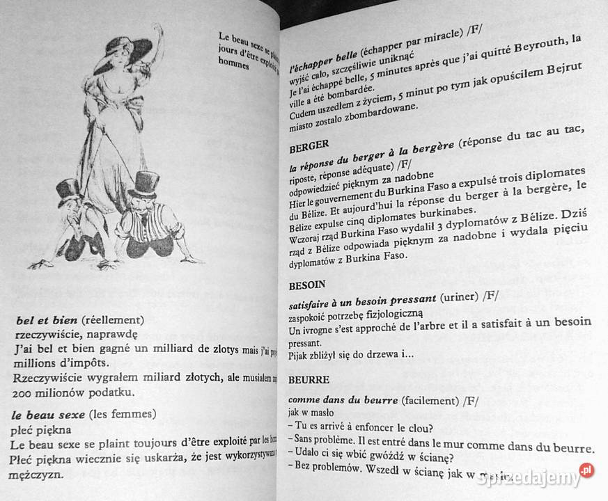 Szkolny leksykon idiomów francuskich CDauloudet Pozostałe Chełm sprzedam