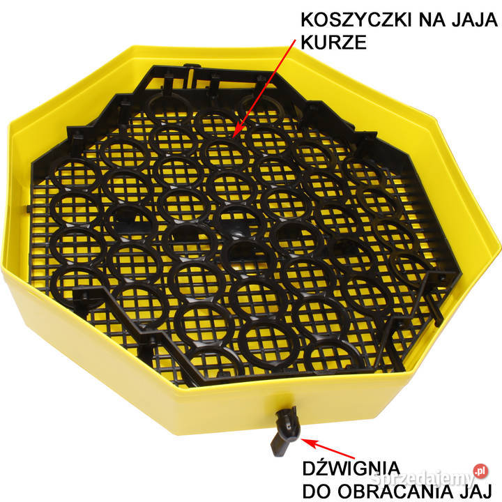 INKUBATOR CLEO 5 DTH 6041 JAJ WYLĘGARKA KLUJNIK podkarpackie Rzeszów