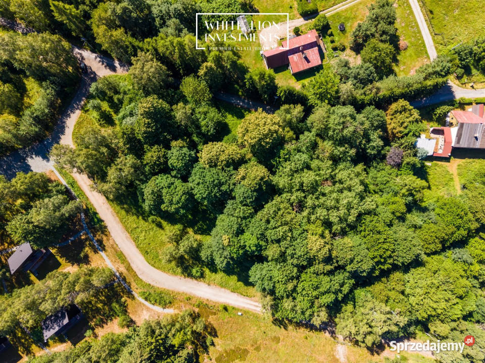 Działka Studzienno 3068m2 gaz Sprzedaż