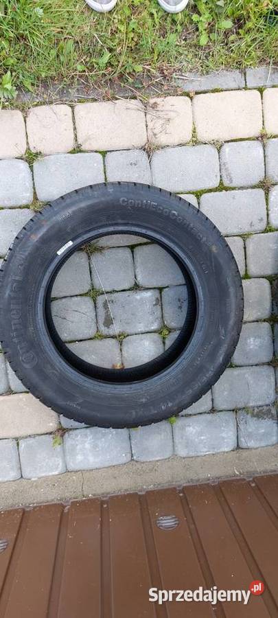 Continental ContiEcoContact 5 1756514 T warmińsko-mazurskie Morąg