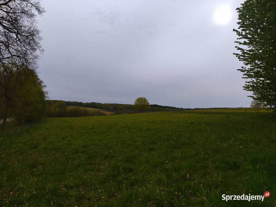 Działka budowlana drodze asfaltowej Nieruchomości Rumy sprzedam