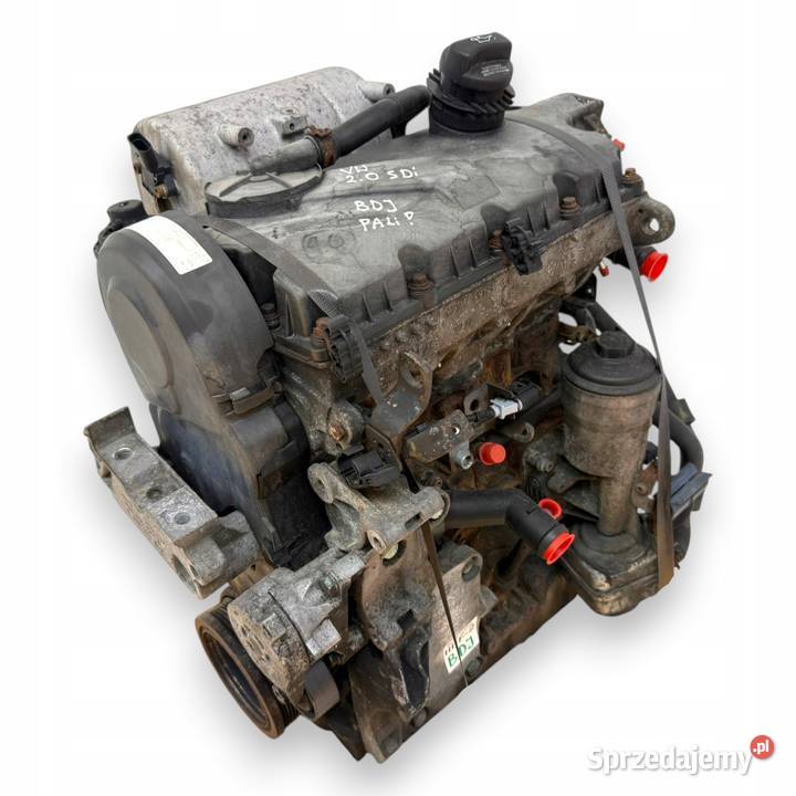 SILNIK BDJ VW Caddy III 20 SDI 70 diesel sprawny Silniki kompletne Chełm