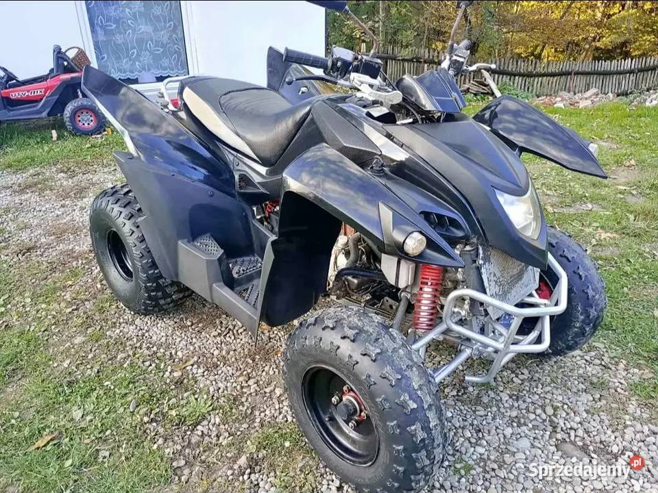 Quad Adly 300 świętokrzyskie Pacanów